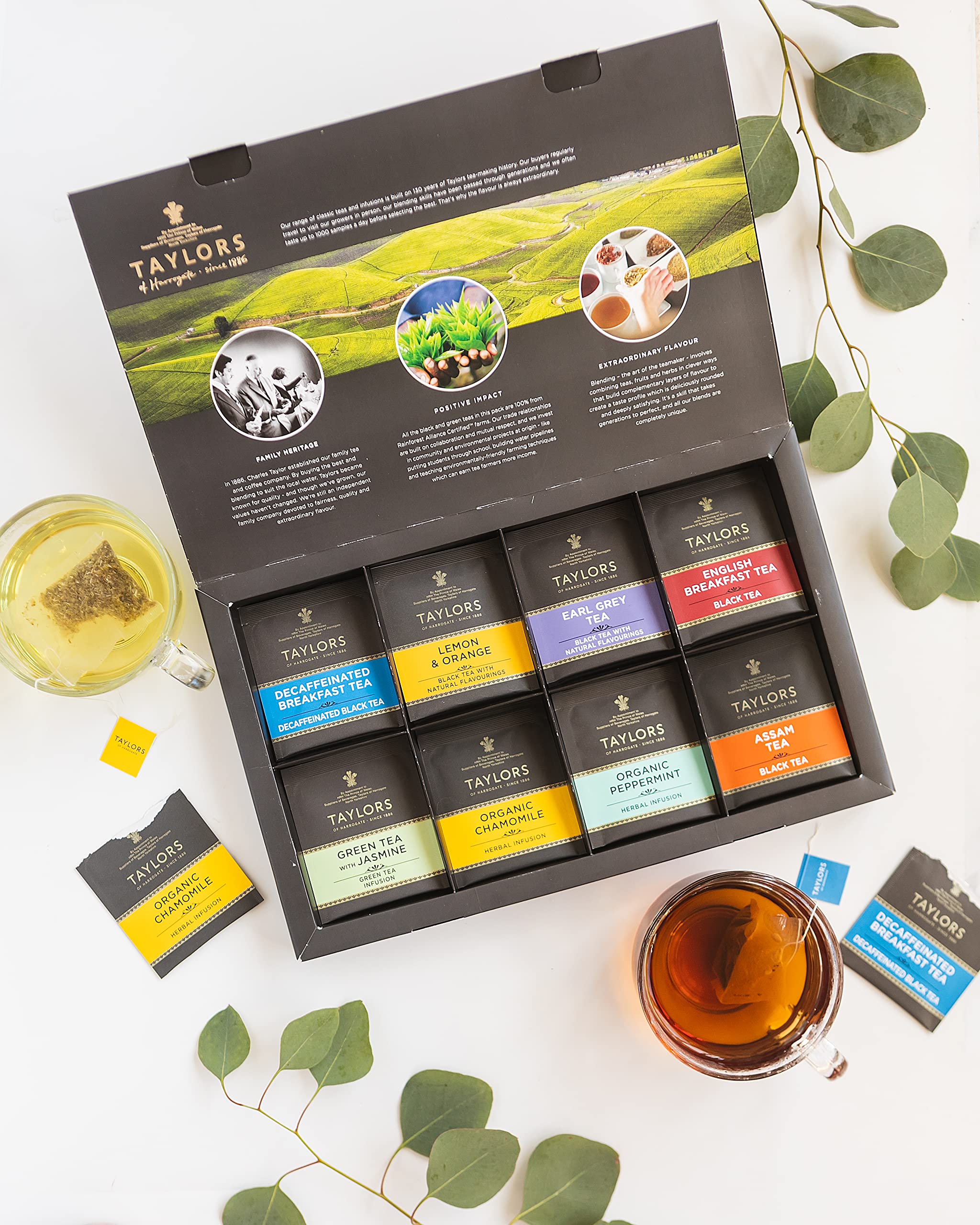 Taylors of Harrogate Tea Sampler 4